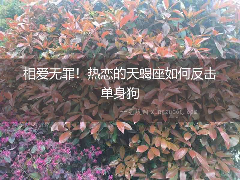 相愛無罪！熱戀的天蝎座如何反擊單身狗