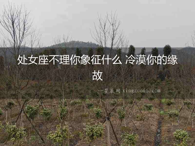 處女座不理你象征什么 冷漠你的緣故