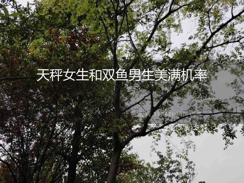 天秤女生和雙魚男生美滿機率