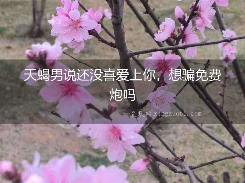 天蝎男說還沒喜愛上你，想騙免費(fèi)炮嗎