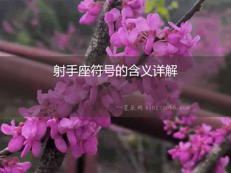 射手座符號的含義詳解