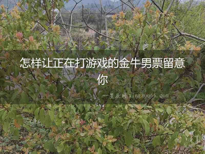 怎樣讓正在打游戲的金牛男票留意你