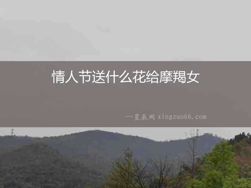 情人節送什么花給摩羯女