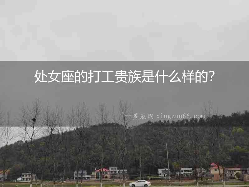 處女座的打工貴族是什么樣的？