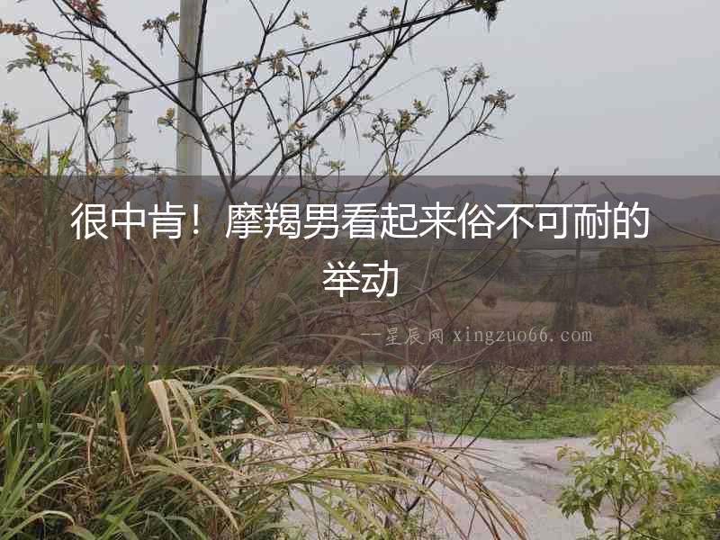 很中肯！摩羯男看起來俗不可耐的舉動