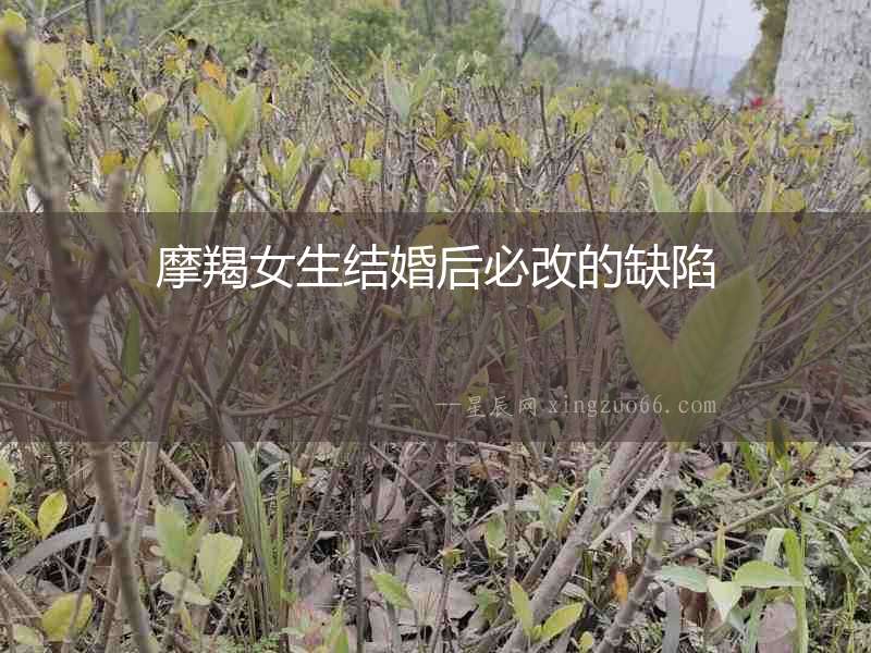 摩羯女生結婚后必改的缺陷
