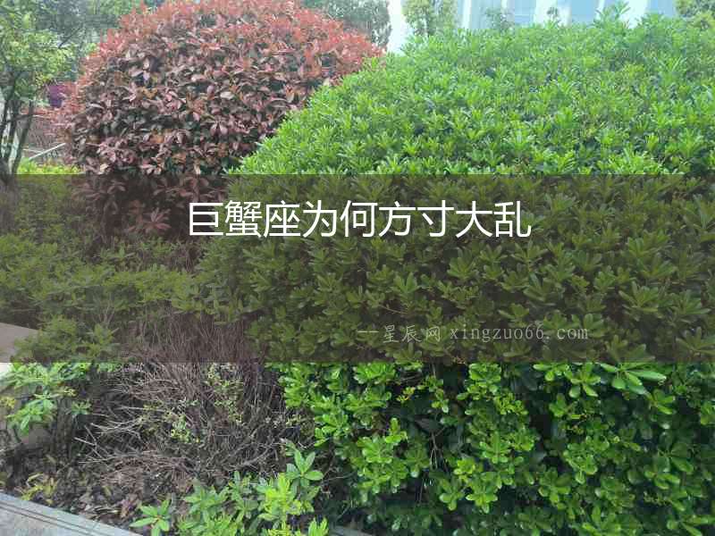 巨蟹座為何方寸大亂