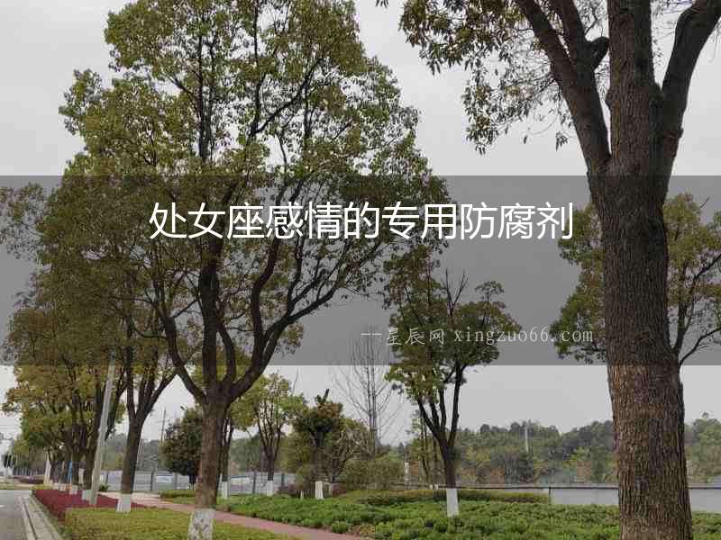 處女座感情的專用防腐劑