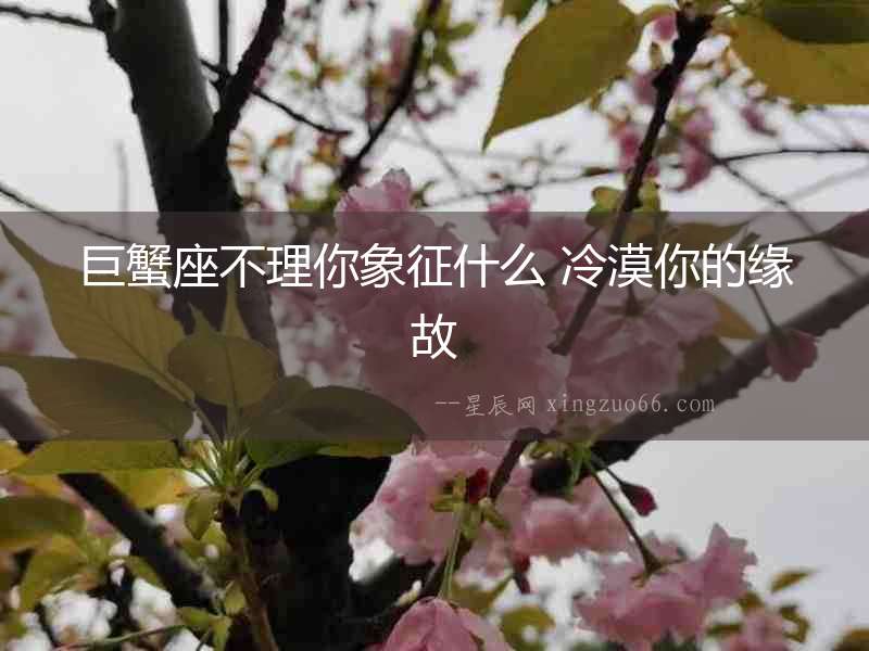 巨蟹座不理你象征什么 冷漠你的緣故