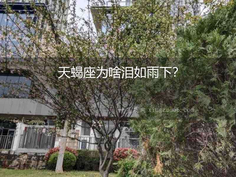 天蝎座為啥淚如雨下？