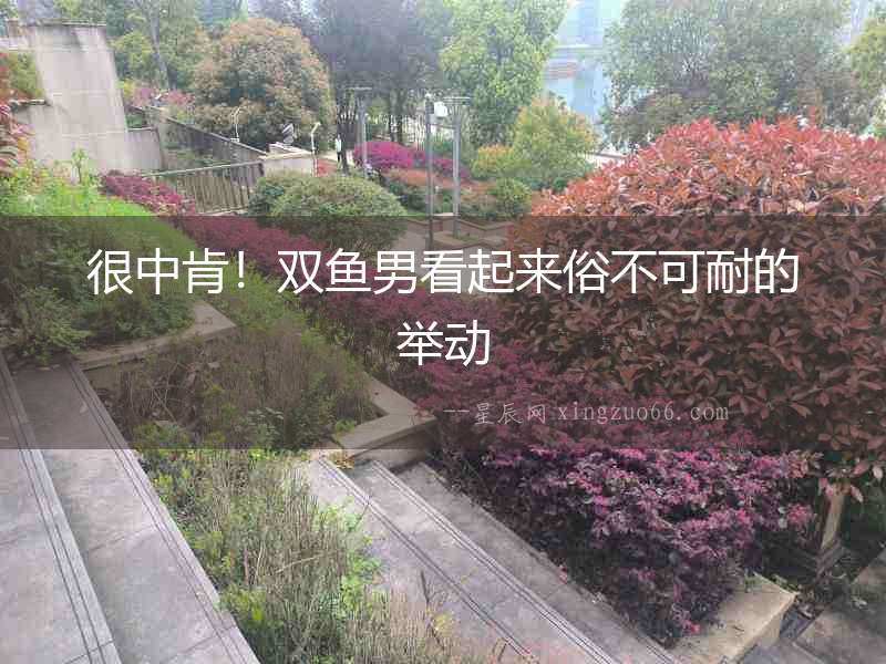 很中肯！雙魚男看起來(lái)俗不可耐的舉動(dòng)