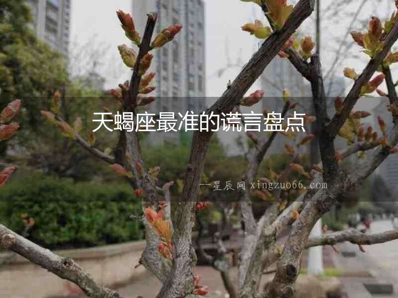 天蝎座最準的謊言盤點