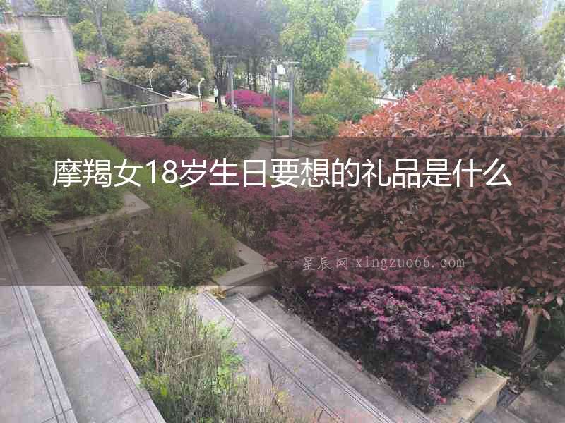 摩羯女18歲生日要想的禮品是什么