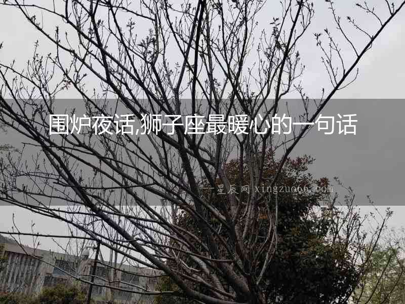 圍爐夜話,獅子座最暖心的一句話