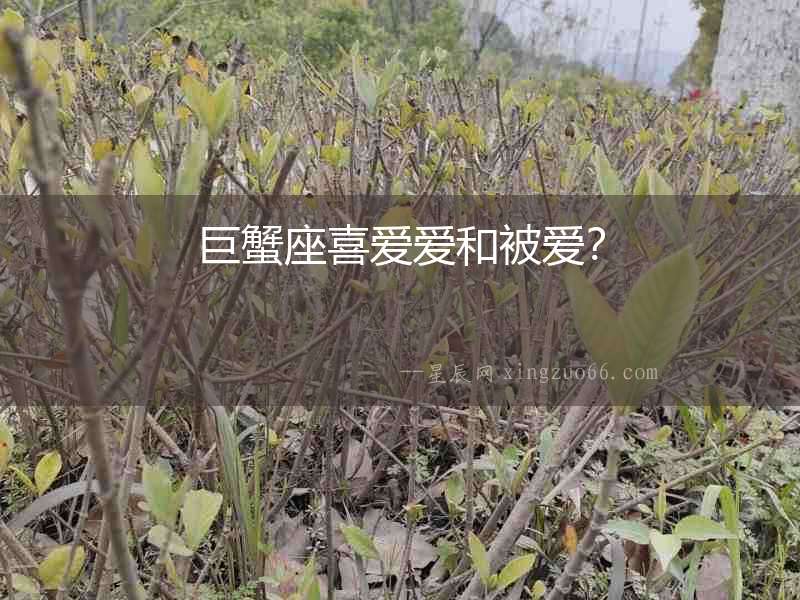 巨蟹座喜愛愛和被愛？