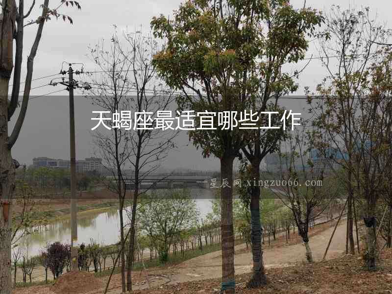 天蝎座最適宜哪些工作
