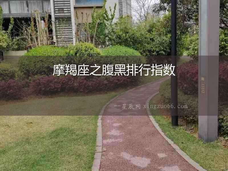 摩羯座之腹黑排行指數(shù)