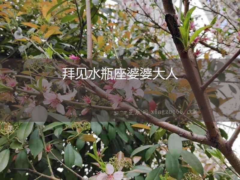 拜見水瓶座婆婆大人