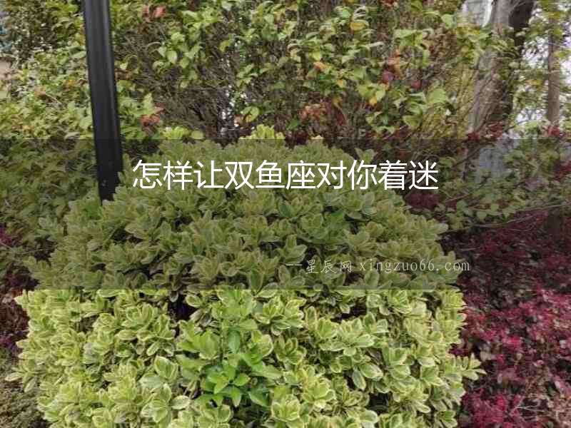 怎樣讓雙魚座對你著迷