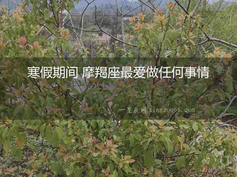 寒假期間 摩羯座最愛做任何事情