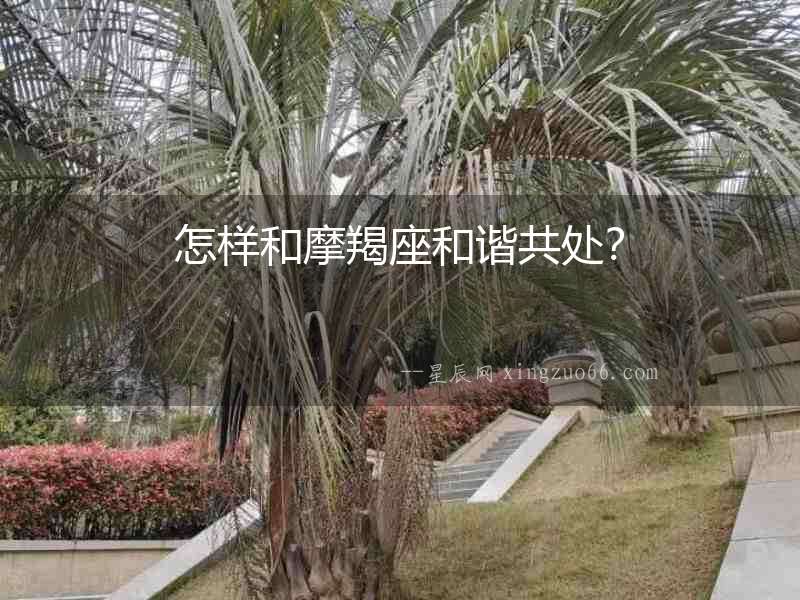 怎樣和摩羯座和諧共處？