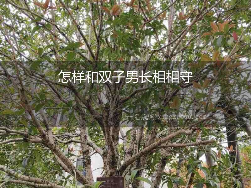 怎樣和雙子男長相相守