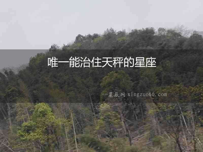 唯一能治住天秤的星座