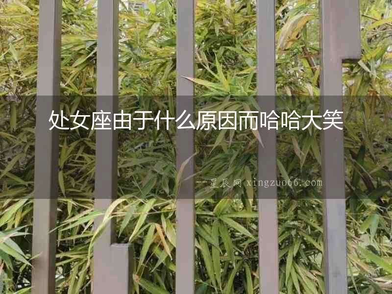 處女座由于什么原因而哈哈大笑