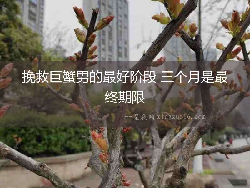 挽救巨蟹男的最好階段 三個月是最終期限