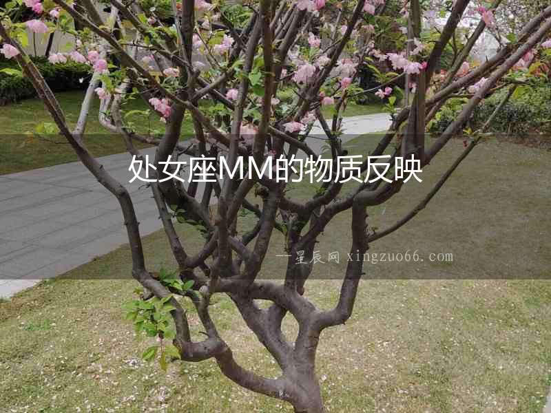 處女座MM的物質反映