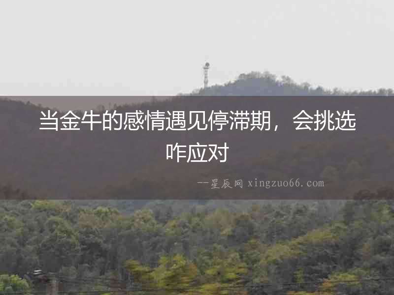 當金牛的感情遇見停滯期，會挑選咋應對