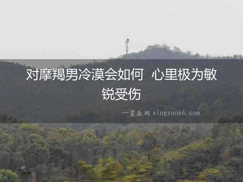 對摩羯男冷漠會如何  心里極為敏銳受傷