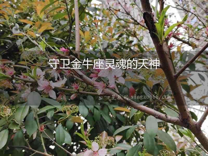 守衛(wèi)金牛座靈魂的天神