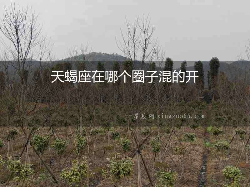天蝎座在哪個(gè)圈子混的開