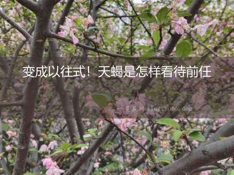 變成以往式！天蝎是怎樣看待前任
