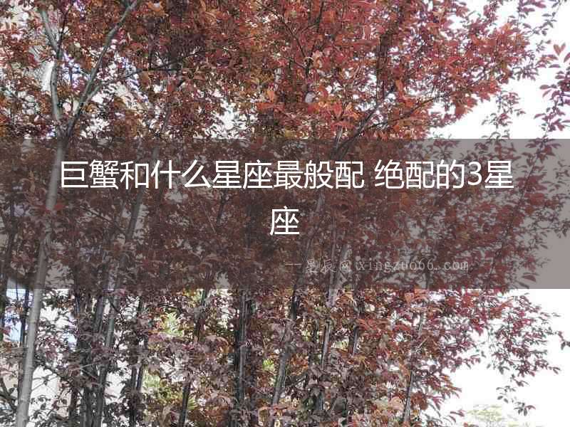 巨蟹和什么星座最般配 絕配的3星座
