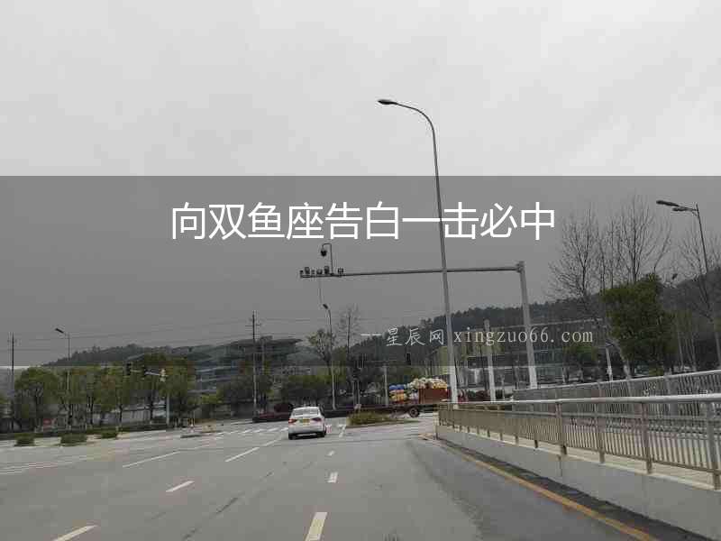 向雙魚座告白一擊必中
