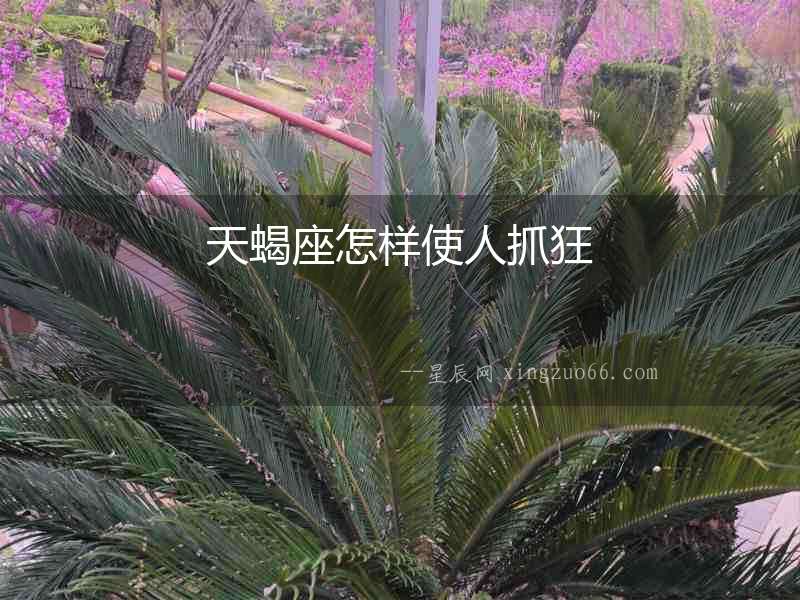 天蝎座怎樣使人抓狂