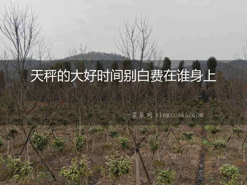 天秤的大好時間別白費在誰身上