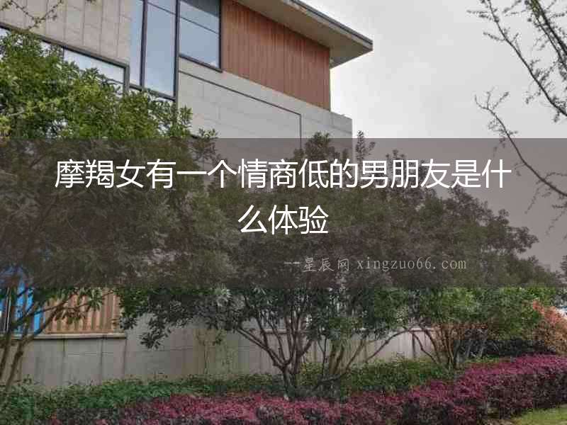 摩羯女有一個情商低的男朋友是什么體驗