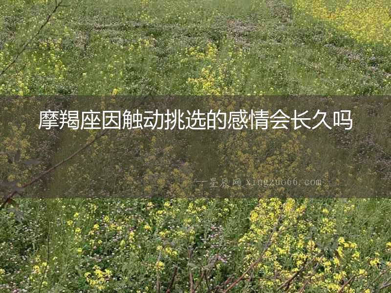 摩羯座因觸動挑選的感情會長久嗎