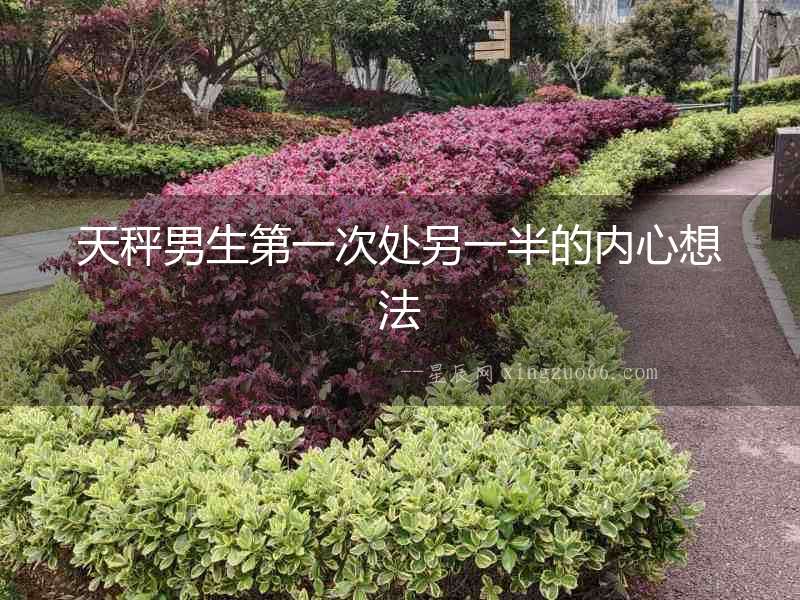 天秤男生第一次處另一半的內(nèi)心想法