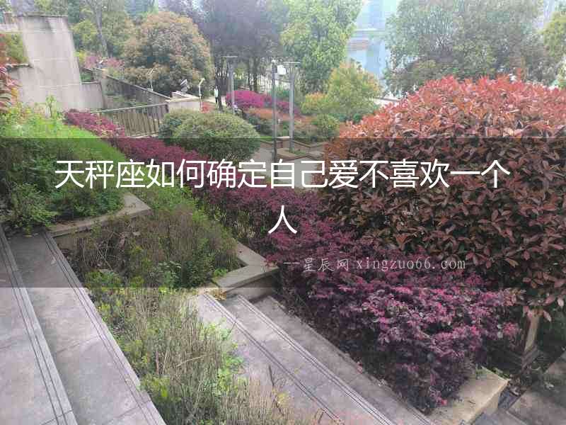 天秤座如何確定自己愛不喜歡一個人
