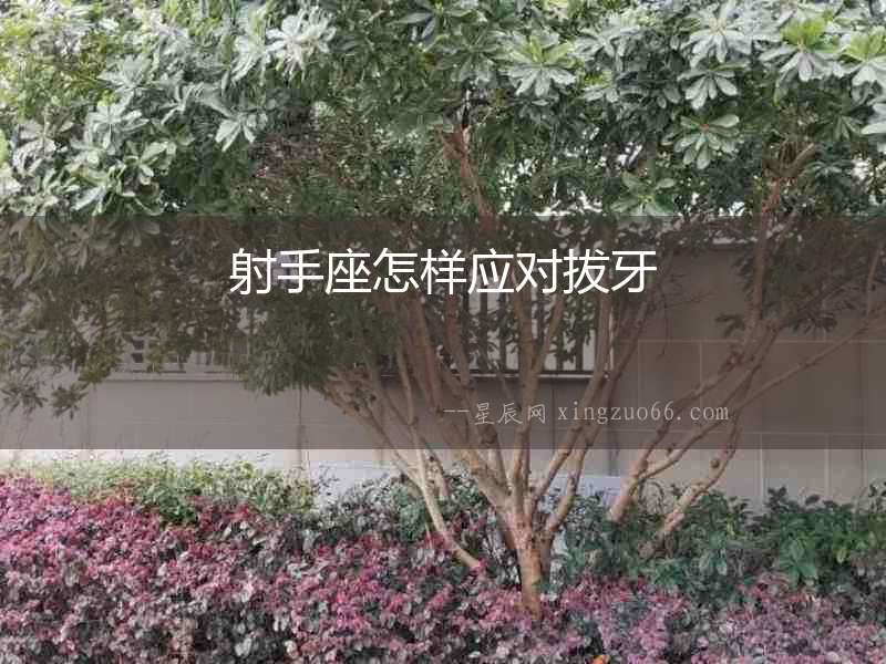 射手座怎樣應對拔牙