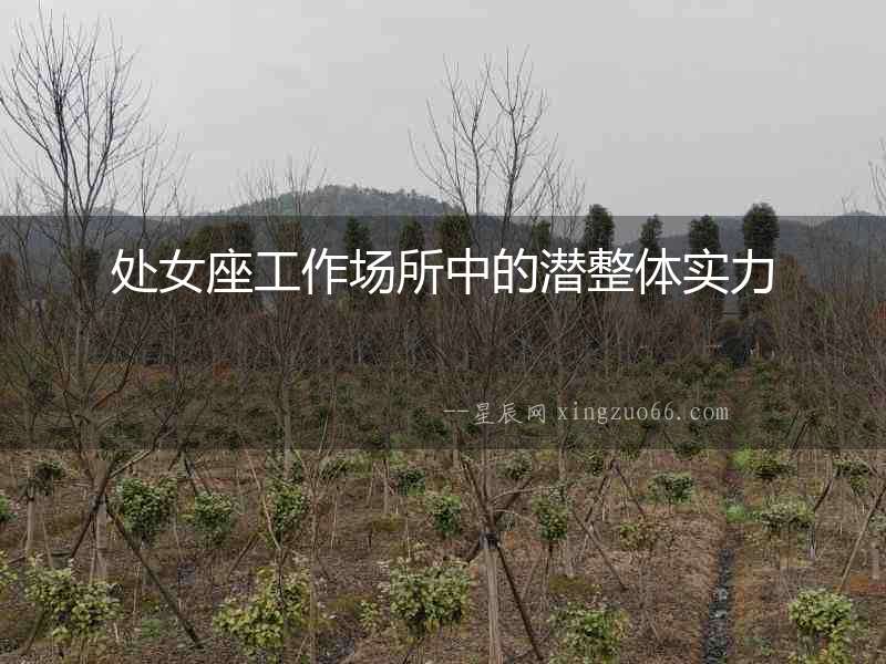 處女座工作場(chǎng)所中的潛整體實(shí)力