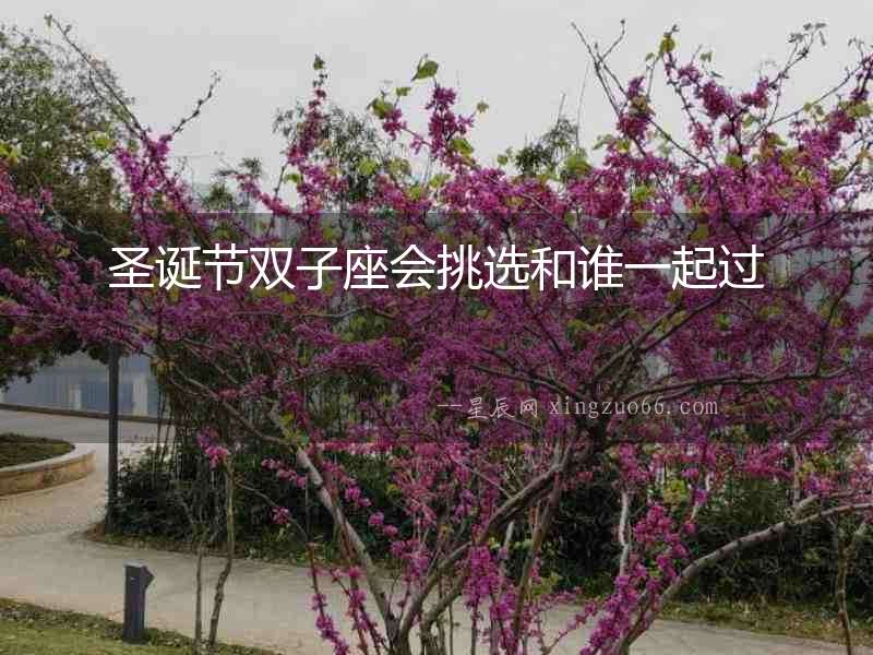 圣誕節雙子座會挑選和誰一起過