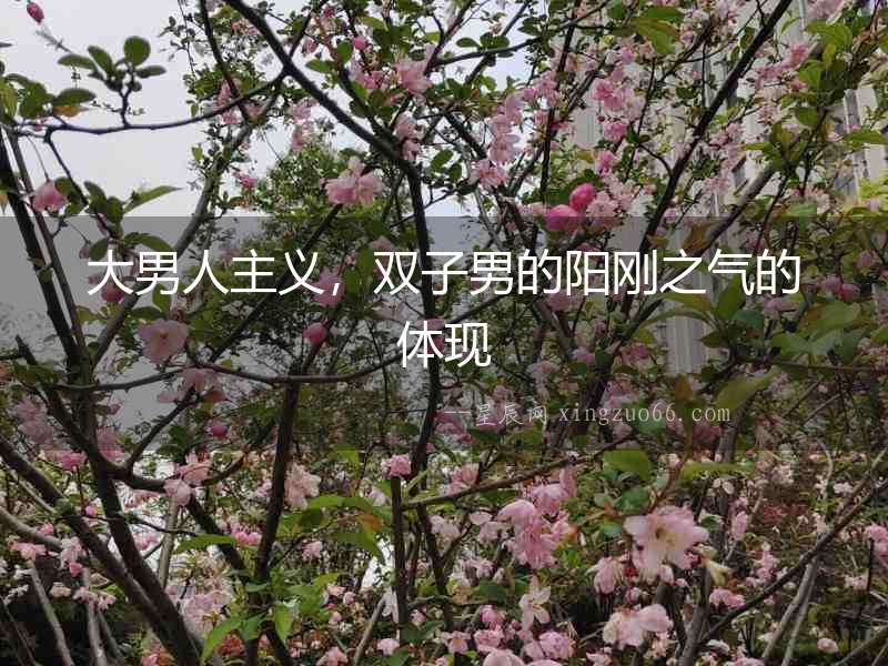 大男人主義，雙子男的陽(yáng)剛之氣的體現(xiàn)