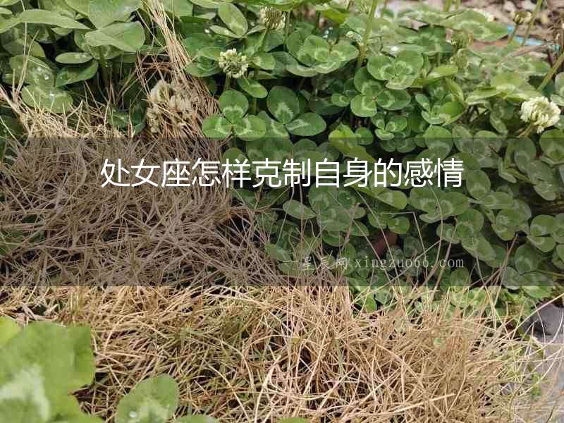 處女座怎樣克制自身的感情