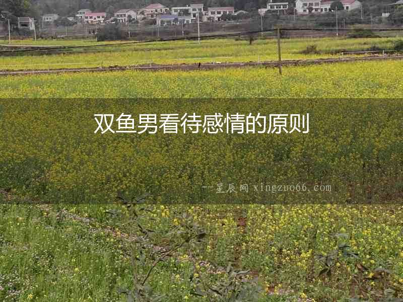 雙魚男看待感情的原則