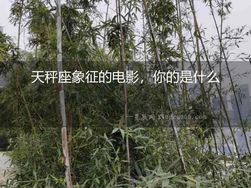 天秤座象征的電影，你的是什么